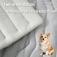 thumbnail image 2 of Sweetdreamed Dog Cooling Mat, Non Gel Sweetdreamed Cool Pad for Dogs & Cats to Lay On, 4 Sizes Portable Cooling Mats Pet for All Breeds & Sizes, Machine Washable Double-Sided Pet Bed (green, X-Large), 2 of 8