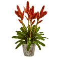 thumbnail image 1 of Nearly Natural 1706 Tropical Bromeliad Artificial Arrangement in Weathered Planter, 1 of 1
