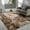 Brown, variant on Lucoss Shaggy Area Rug, Plush Furry Rugs for Living Room, Tie-Dyed Grey Soft Fluffy Rugs for Bedroom, Fuzzy Rugs for Nursery, Dorm Shag for Grils Boys, Carpet for Kids Room