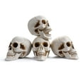 thumbnail image 6 of Yesocm 4 Pcs Life Size Skeleton Skull Halloween Realistic Human Model Moving Jaw Outdoor Indoor Decorations, 6 of 9