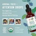 thumbnail image 5 of MaryRuth's Adrenal & Focus Liquid Drops Herbal Supplement, Eleuthero and Ginkgo Leaf, USDA Organic, Vegan, Gluten-Free, Dairy-Free, Unisex, 1 fl oz, 5 of 10