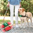 thumbnail image 3 of Air Tag Holder for Pets 2 Pack,Air Tag Holder Portable Air Tag Case Cover for air tag Dog Collar Holder,Anti-Lost Air Tag Holder for Dog Collar Cats Backpack and More( Pink & Olive Green), 3 of 5