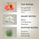 thumbnail image 4 of Perfumes para mujer, Fragancias para mujer Perfume de té negro y pomelo Perfume ligero natural Fresco y suave Perfume de larga duración 50 ml Agua de esencia, 4 of 5