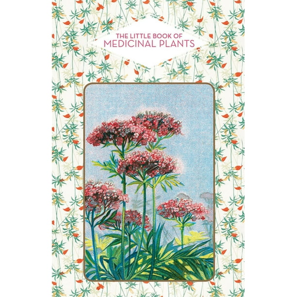 The Little Book of Medicinal Plants (Hardcover) Walmart