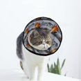 thumbnail image 1 of Steamship Painting Landscape Soft Cat Dog Recovery Collar Adjustable Cat Cone Wound Healing Protective After Surgery for Medium Dogs, 1 of 7