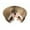 color, variant on Melomogo 3Pcs Magic Organ Cat Scratching Board & Interactive Toy - Durable Cardboard Scratcher with Scratching Ball for Indoor Cats - Mental & Physical Exercise for Kittens & Adult Cats