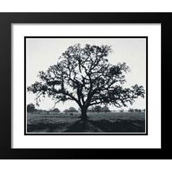 Ansel Adams Framed and Double Matted Art Print 20x23 "Oak Tree Sunrise"