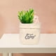 thumbnail image 4 of Maceta de 2 Piezas para Plantas Suculentas, Linda Decoración Animal para Escritorio DYNWAVEMX Maceta suculenta, 4 of 8