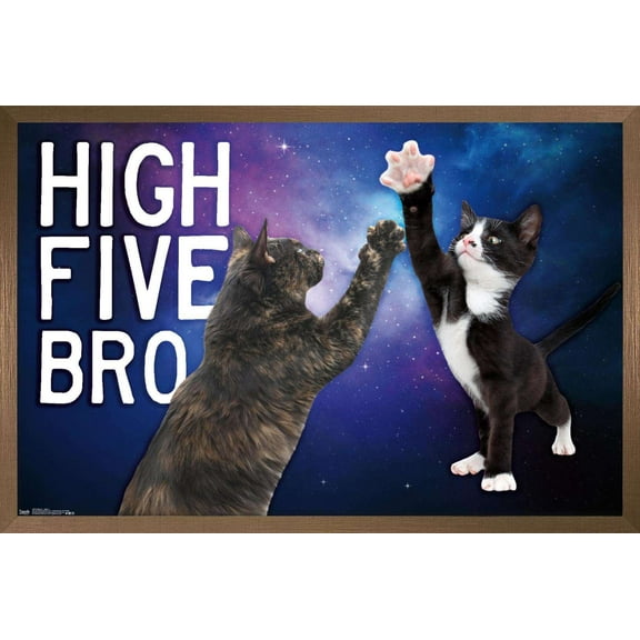 Keith Kimberlin - Kittens - High Five Bro in Space Wall Poster, 14.725" x 22.375", Framed