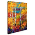 thumbnail image 2 of Trademark Fine Art 'Autumn Patchwork' Canvas Art by Marion Rose, 2 of 3