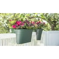 thumbnail image 4 of Pots, Terracotta, 4 of 4