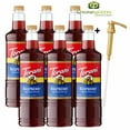 thumbnail image 1 of Torani Raspberry Flavoring Syrup, Professional Fresh-Picked Berry Base, Shatter-Resistant 1L Plastic Bottle + Bonus Squeeze Pump, 1 of 10