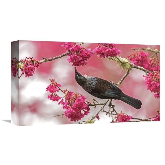 Global Gallery Kurien Yohannan 'Tui 39' Canvas Wall Art