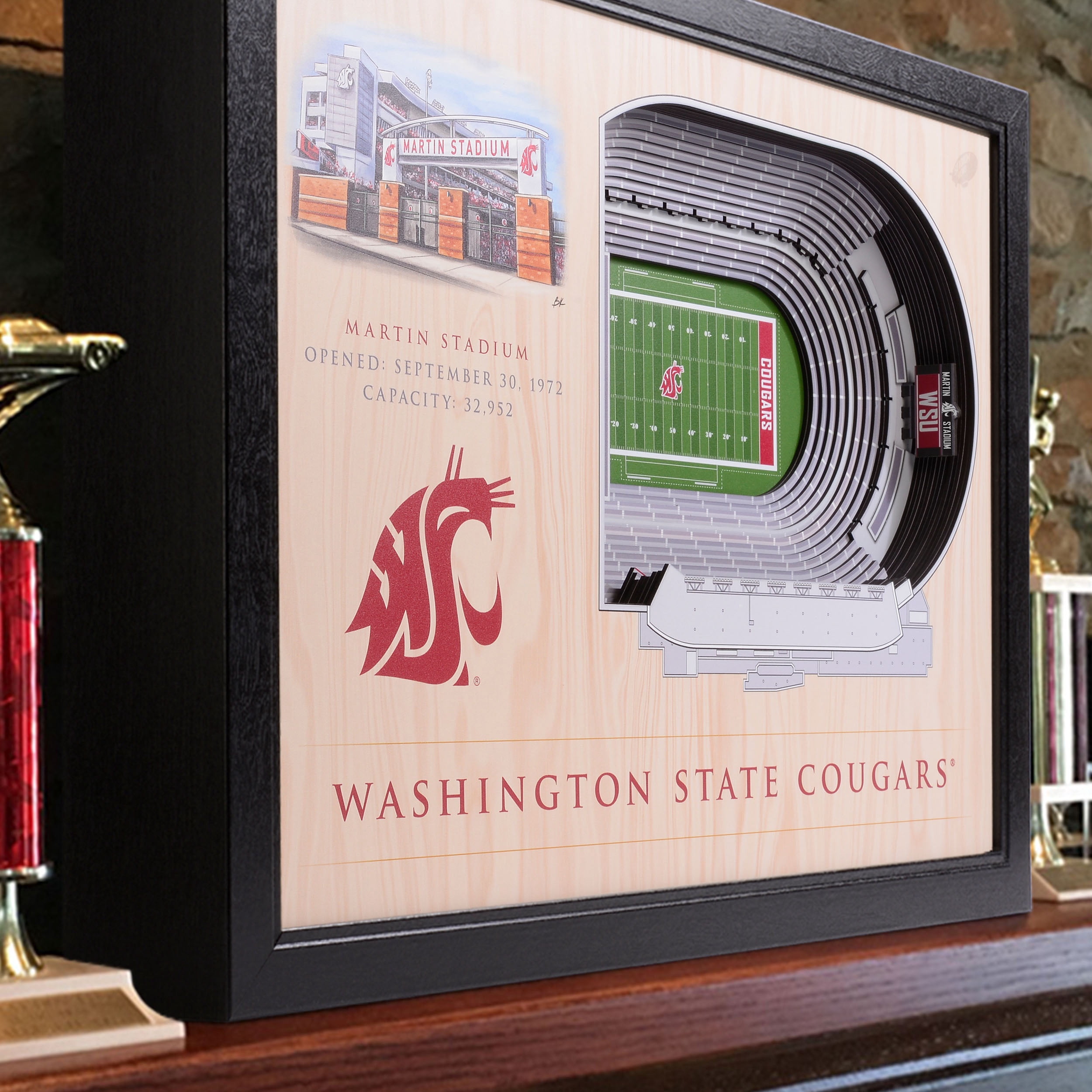 YouTheFan NCAA Washington St Cougars FB 25-Layer Stadiumview Wall Art