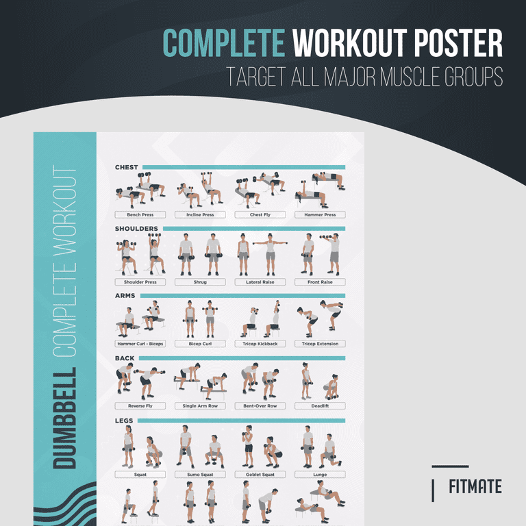 CLEAN SPORTS® Dumbbell Poster d'entraînement avec six exercices de tout le corps à reproduire | Poster de sport Dumbbell pour salle de loisirs ou salle de sport (DinA2 CLEAN SPORTS® Dumbbell Poster d'entraînement avec six exercices de tout le corps à reproduire | Poster de sport Dumbbell pour salle de loisirs ou salle de sport (DinA2