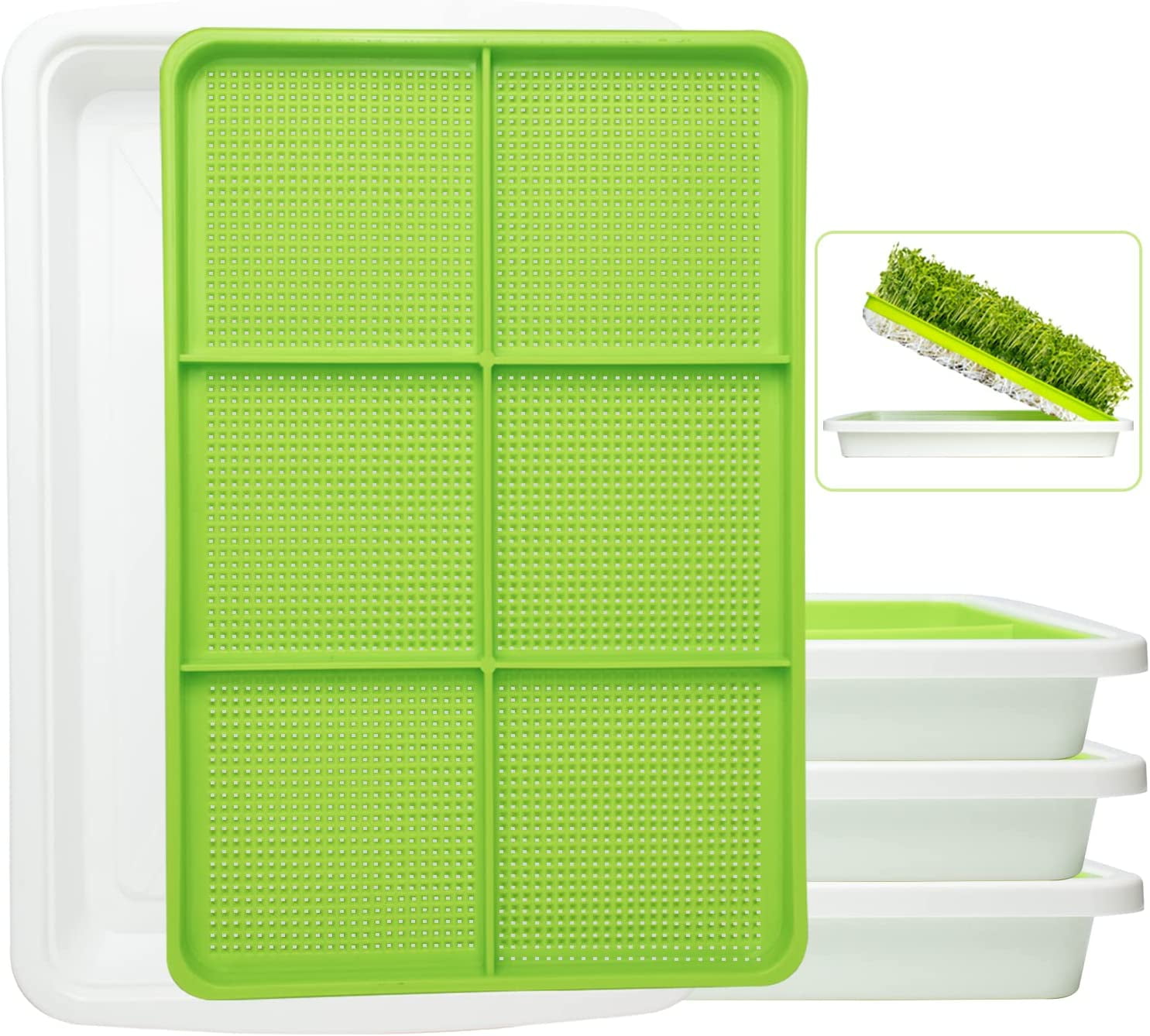 Seed Sprouter Tray BPA Free PP SoilFree Big Capacity Healthy