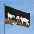 thumbnail image 2 of Kll Cute Goat Baby Flag 4x6 Ft Parade Party Flag Outdoor Flag Decorative Flag Banner Flags Garden Flag Home House Flags, 2 of 7
