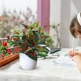 thumbnail image 5 of Ornement de Bureau pour Vert Intérieur Extérieur / Petit Pot avec Feuilles Rouges, Convient à l'Aménagement de Bureau, 5 of 5