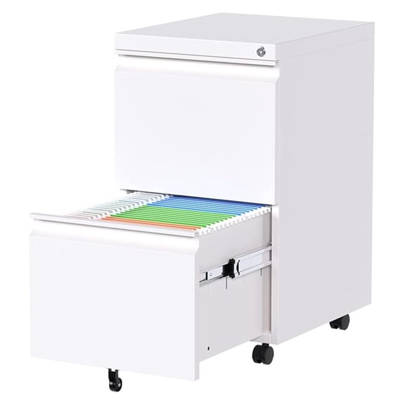 2 Drawer File Cabinet with Lock,Metal Filing Cabinet with Wheels for Home Office & Business Enterprise, Legal/Letter Size, Fully Assembled Except Wheels, White