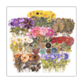 thumbnail image 1 of Pressed Flower Theme Stickers Set (320 Pieces) Dried Flowers Resin Stickers Decals Floral Botanical Journaling Stickers, 1 of 9