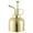 D, variant on THHEIC Stainless Steel Plant Mister Spray Bottle, Watering Can for Indoor Plants Succulent Bonsai, Garden Spray Houseplant Spritzer, Modern Garden Tools, 10oz/300ml