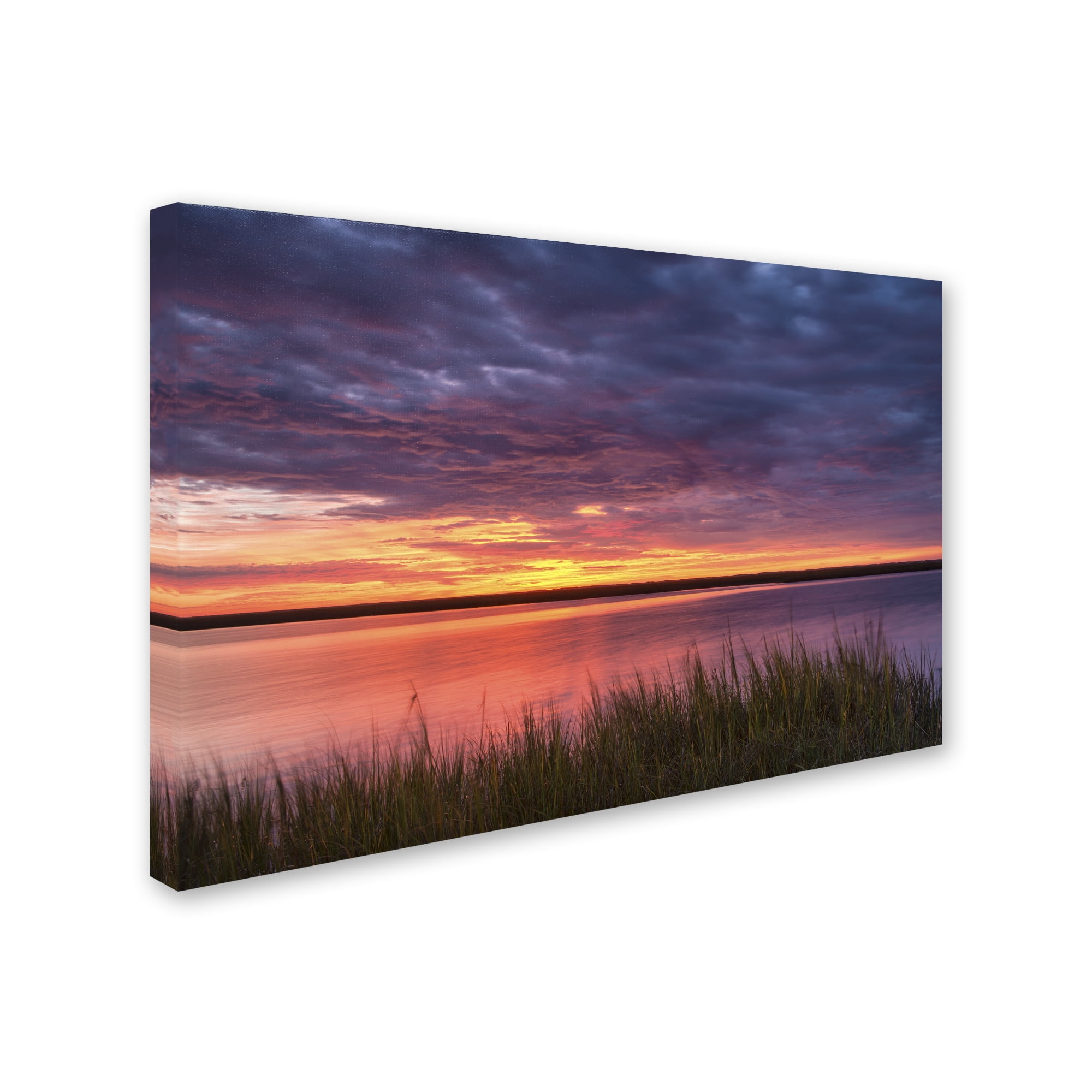 Trademark Fine Art 'Drama at the Marsh' Canvas Art by Michael Blanchette Photography