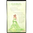 thumbnail image 6 of Citrus Obsession Barbie Doll Lime Edition Silver Label No. J0933 Mattel 2005 NEW, 6 of 6