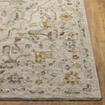 thumbnail image 4 of Boutique Rugs Coromandel Traditional Area Rug - Light Gray, Medium Gray, Cream - 2'7" x 3'11", 4 of 13