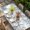 White Blue Beige, variant on Blue Eucalyptus Coastal Table Cloths for 8 Foot Rectangle Tables, Beach Starfish Shell Nautical Rustic Patio Waterproof Elastic Fitted Tablecloths, Washable Rectangular Table Cover for Camping