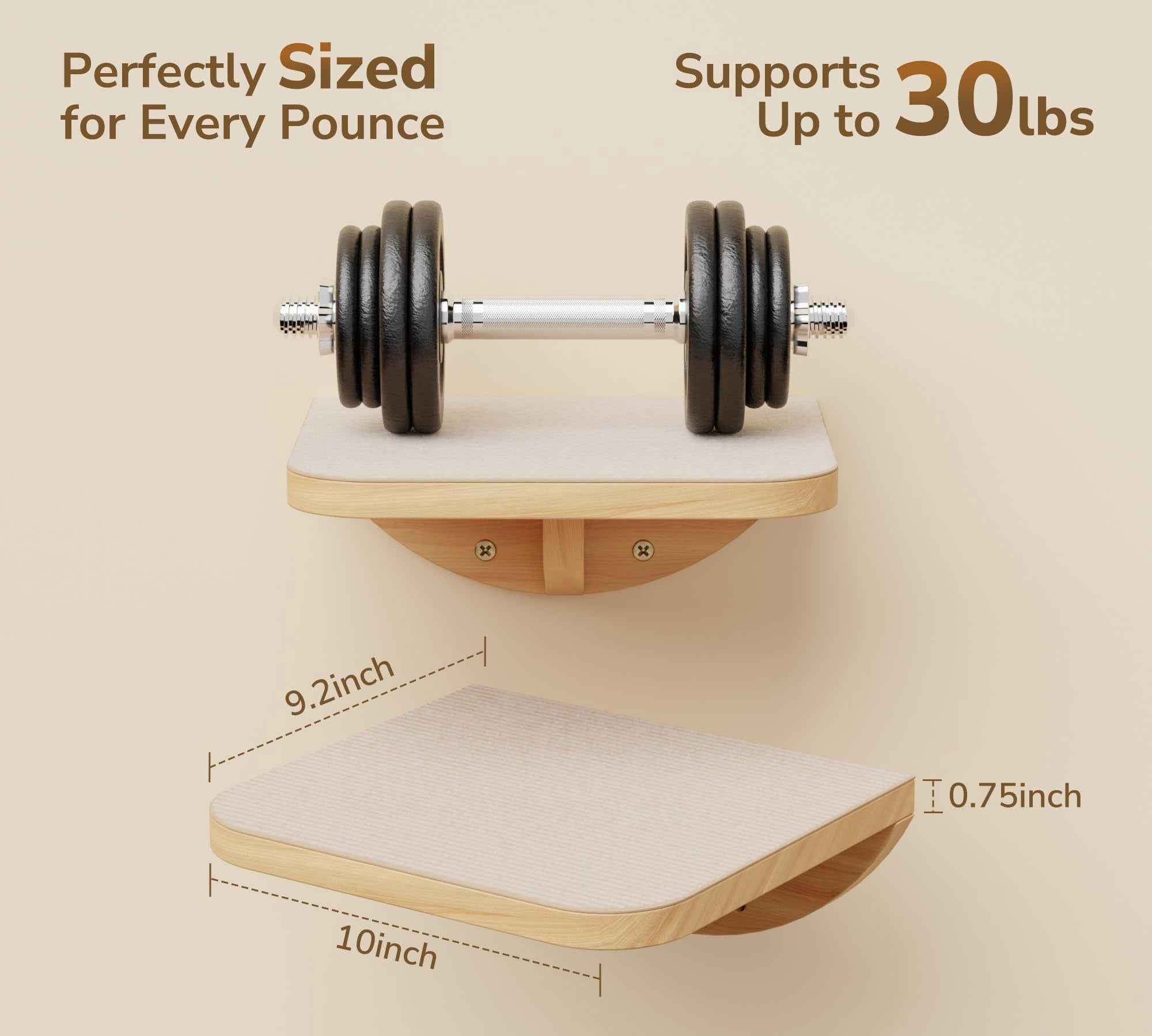 Cat Window Perches  Curved Wall Beige Bed And 2 Floating Steps Mounted Climbing Shelves For Sleeping Playing Lounging