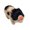 B, variant on 5 Inch Full Soft Reborn Pig Doll, Lifelike Mini Cute Realistic Pig, Super Soft Material Hand-Painted Collectible Pig for Christmas Gift