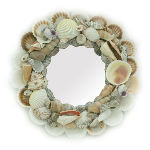 Contrast Natural Seashell Frame Small Round Wall Mirror 10 inch Diameter