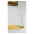 thumbnail image 5 of Trade Winds Nora 1-Light Ceiling Light in White with Natural Brass, 5 of 5