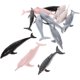 thumbnail image 5 of FELTECHELECTR 12 piezas de simulación realista de delfín, modelo de plástico mini delfín, modelo animal artificial, modelo de delfín., 5 of 6