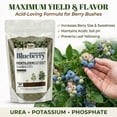 thumbnail image 2 of Old Cobblers Farm™ Wicked Growth Blueberry Mix Fertilizer - Boosts Healthy Growth & Soil Fertility, Fertilizer for Blueberry Plants, Lawn & Garden (5lbs/10lbs/15lbs/20lbs) (15lbs), 2 of 10