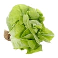 thumbnail image 3 of Lechuga francesa Eva hidropónica 1 pieza, 3 of 3