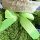 thumbnail image 5 of linda rana de peluche muñeco de peluche rana de peluche, 22cm TUNC Sencillez, 5 of 5