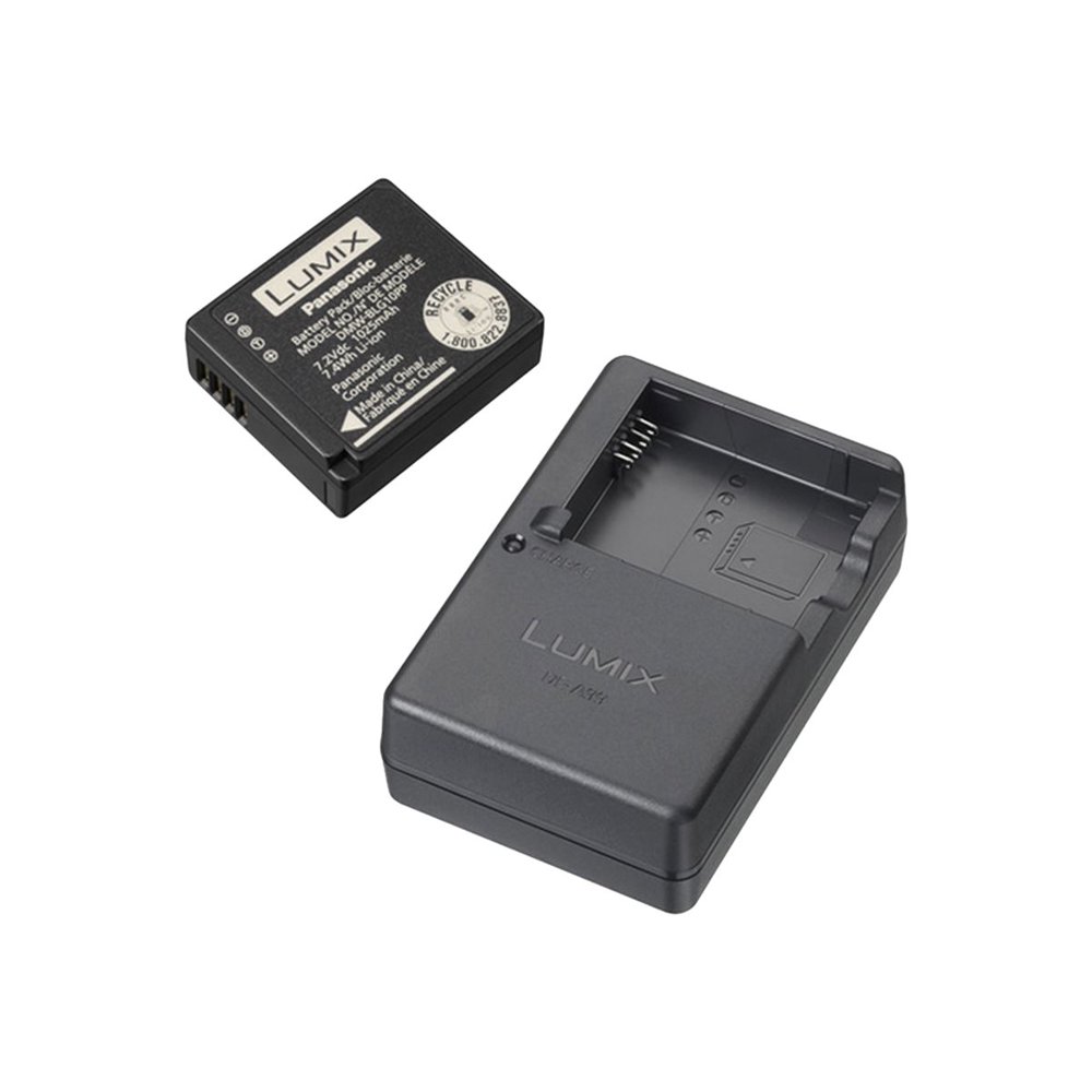 Panasonic Travel Pack DMWZSTRV Battery charger + AC power adapter