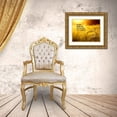 thumbnail image 3 of ArtsyQuotes 24x20 Gold Ornate Wood Framed with Double Matting Museum Art Print Titled - Macrus Aurelius Quote: The Soul, 3 of 4