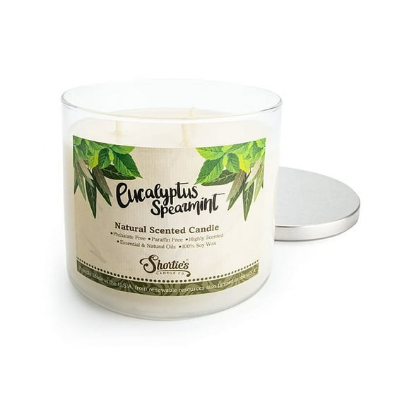 Eucalyptus Spearmint Scented 3 Wick Candle - All Natural - Made with 100% Responsibly Sourced Soy and Essential Fragrance Oils - Phthalate & Paraffin Free, Vegan, Non-Toxic