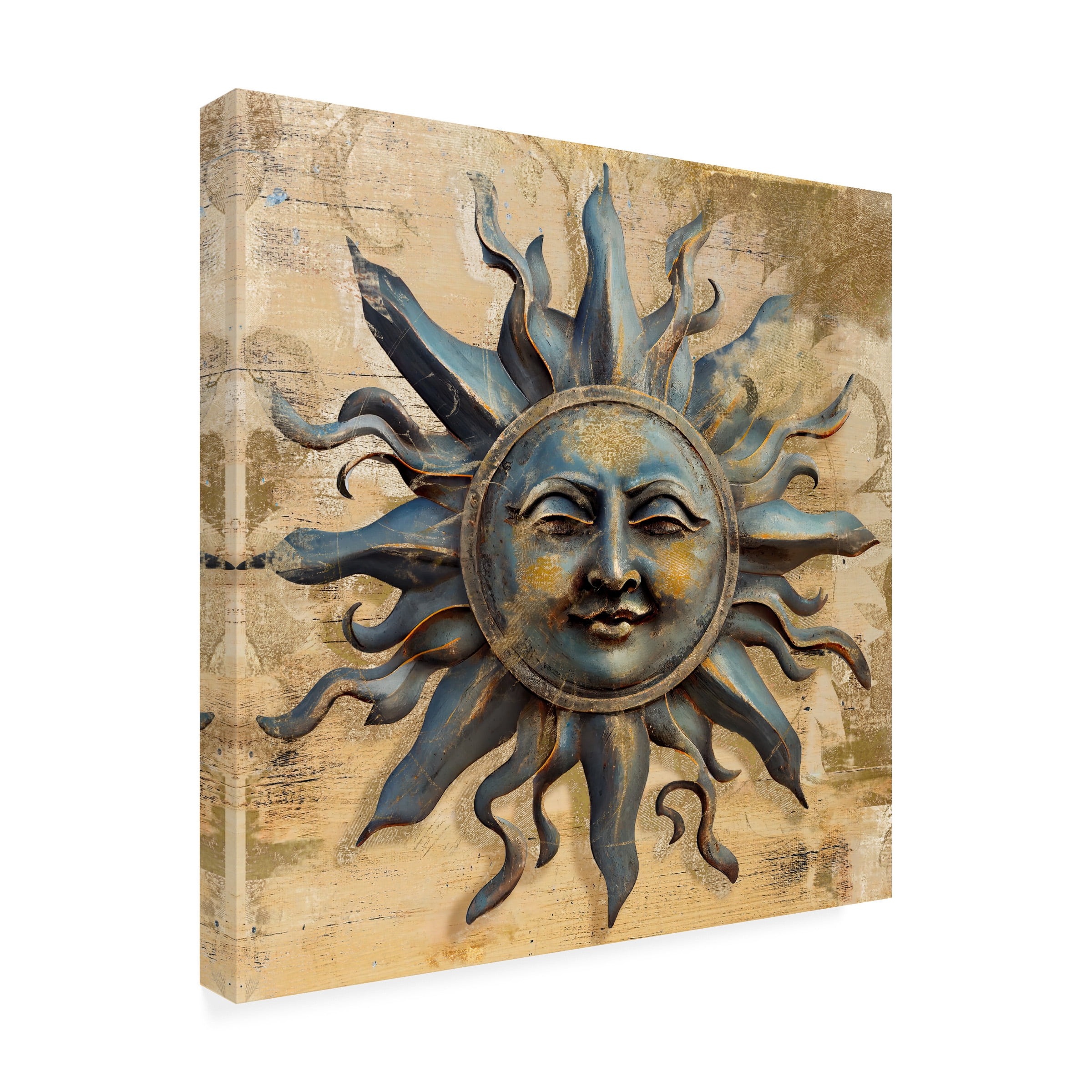 Canvas Wall Art - Sasha 'My Face to the Sun II' Wall Art for Living Room, Bedroom, or Office DÃ©cor by Trademark Fine Art - 24 x 24 Inches