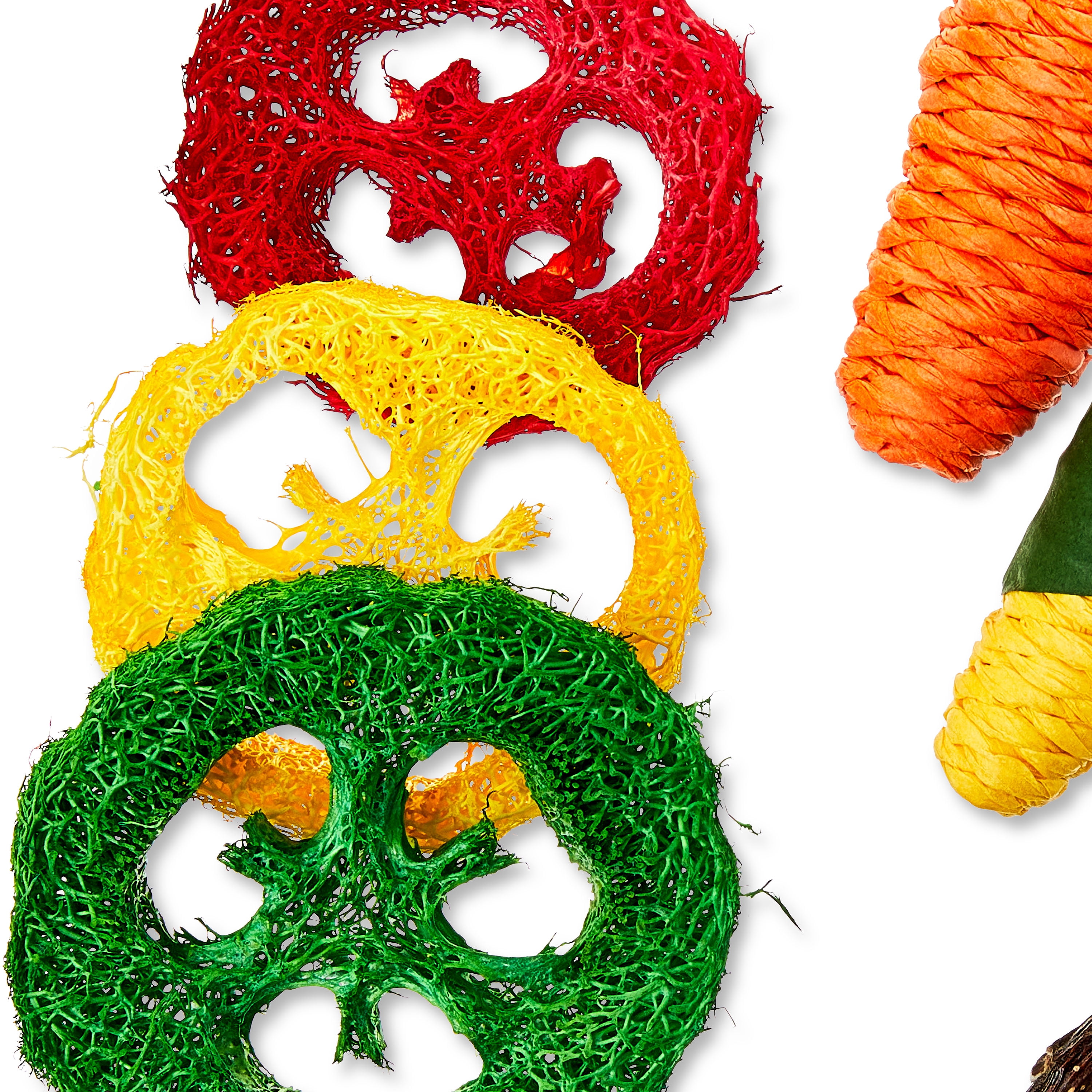 Vibrant Life 9-Piece Variety Pack of Garden Crunch Chews for Small Animals