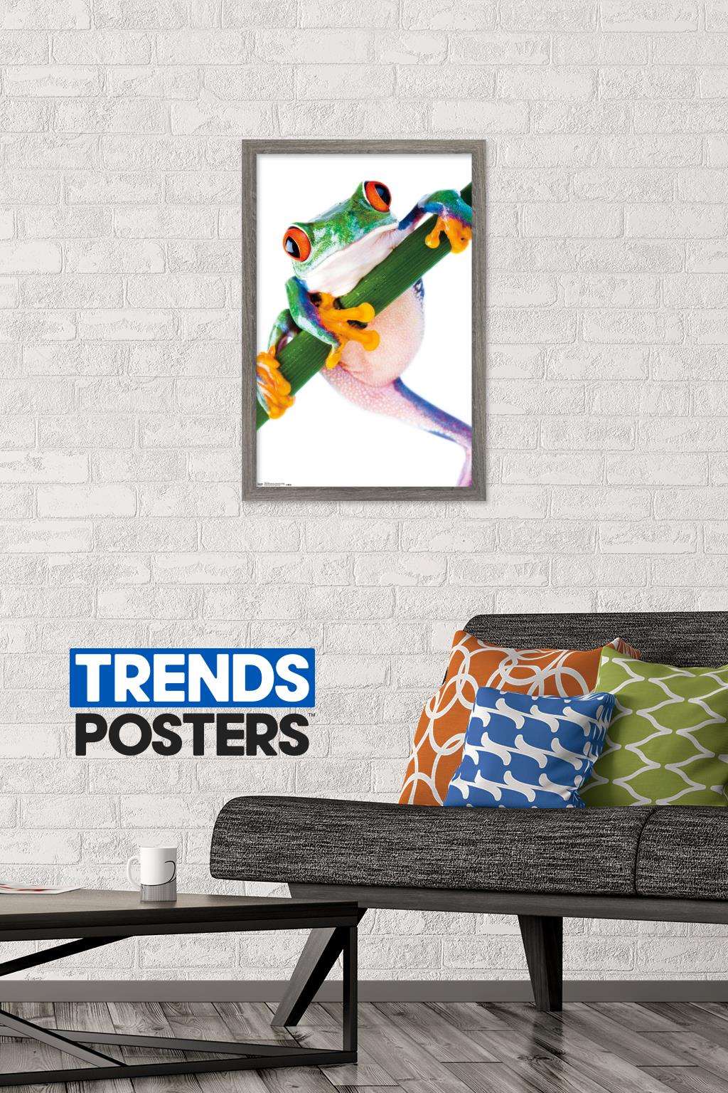 Tree Frog Wall Poster, 14.725" x 22.375", Framed