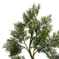 thumbnail image 1 of Vickerman Arbre de Cèdre en Pot 4 Pieds 208Lvs - TB180148, 1 of 2