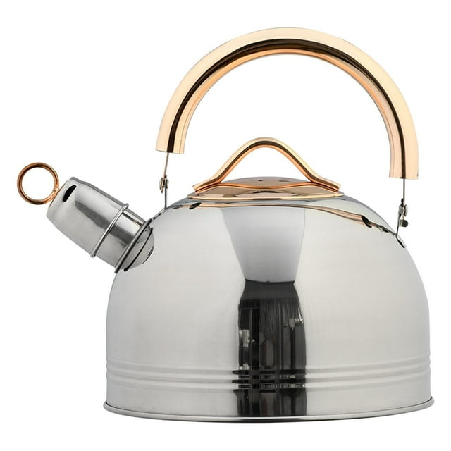 Matsuzay Cocinas con silbato automático de acero, olla con silbido de 3L, hervidor de agua inoxidable para café, té, amplia aplicación para Type2 NO2