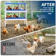 thumbnail image 6 of EuKer 6-Holes Chicken Nesting Box with Bracket, Heavy-Duty Metal Laying Boxes for Backyard, Farms, Chicken Coop, Blue, 6 of 7