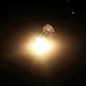 thumbnail image 3 of 10/25/50Pcs 5mm Clear 3V6V9V12V24V Mini Bulb of Wheat Rice Bulbs car light For GMC Chevy Honda Toyota Climate Radio Switch Button Bulbs car light, 3 of 5