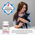 thumbnail image 3 of Nutramax Cosequin for Cats Joint Health Supplement, Contains Glucosamine for Cats, Plus Chondroitin, and Omega-3s, Supports Joint and Skin and Coat Health, For All Sizes, 80 Sprinkle Capsules, 3 of 9