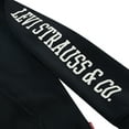 thumbnail image 3 of Levi's Boys Sleeve Hit Hoodie, Size 8-20, 3 of 4