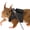💖Black_Hot#1138, variant on Small Pet Harness, Chest Strap Leash Set, 3-Pack S M L Sizes, 1.65 m Rope, Polyester, Lightweight, Gentle Throat Design For Squirrels